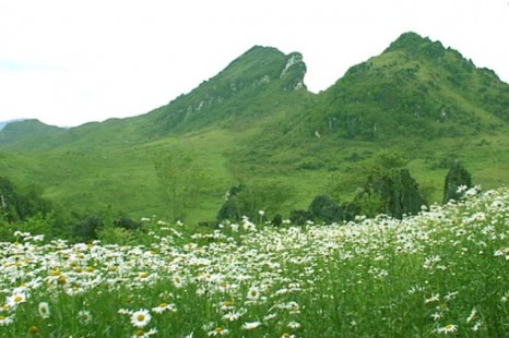 Tour Du Lịch Sapa - Bản Cát Cát - Hàm Rồng 3 Ngày (Đi - Về bằng tàu hỏa)